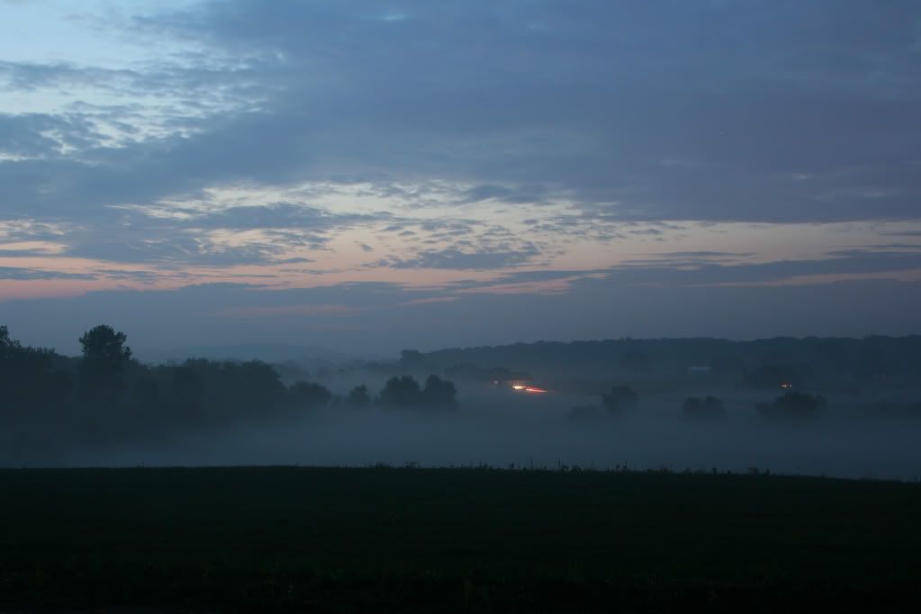 Fog before sunrise