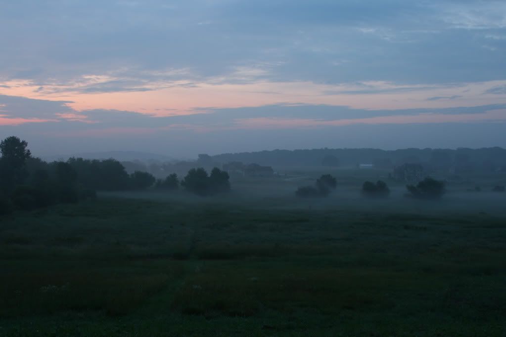 Fog before sunrise