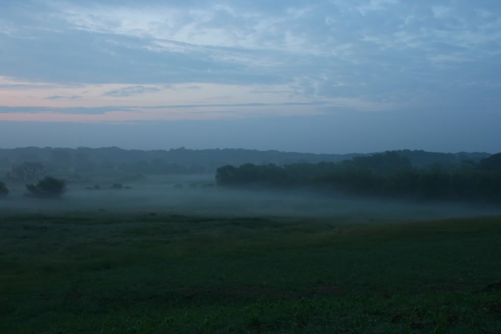 Fog before sunrise
