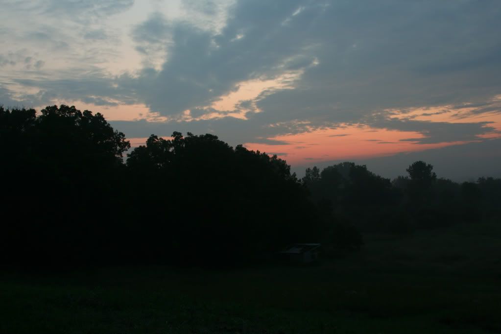 Sunrise