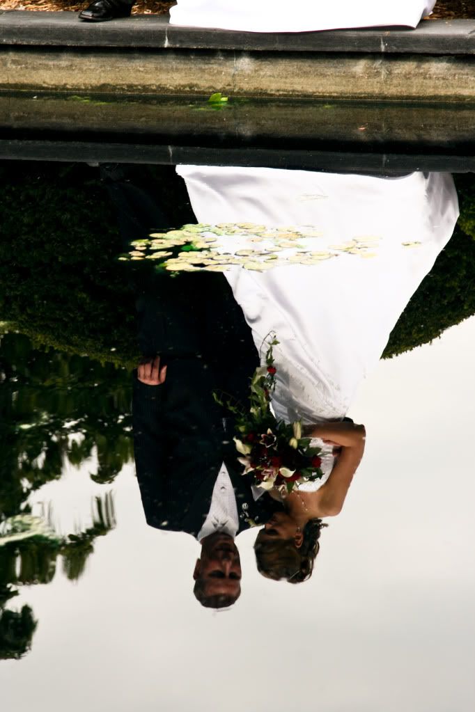 Bride and Groom Reflection