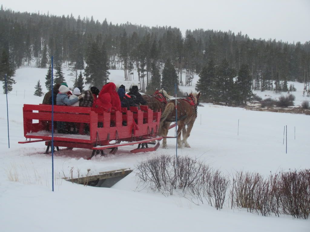 Sleigh Rides Breckenridge, CO Pictures, Images and Photos