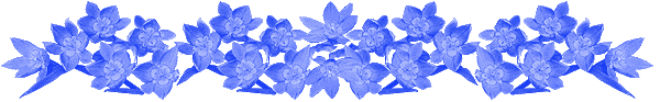 http://i665.photobucket.com/albums/vv12/MSGKLK/Dividers/blueflowerbar.gif