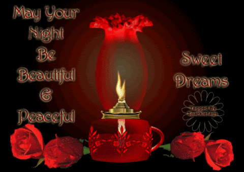 Red roses Pictures, Images and Photos