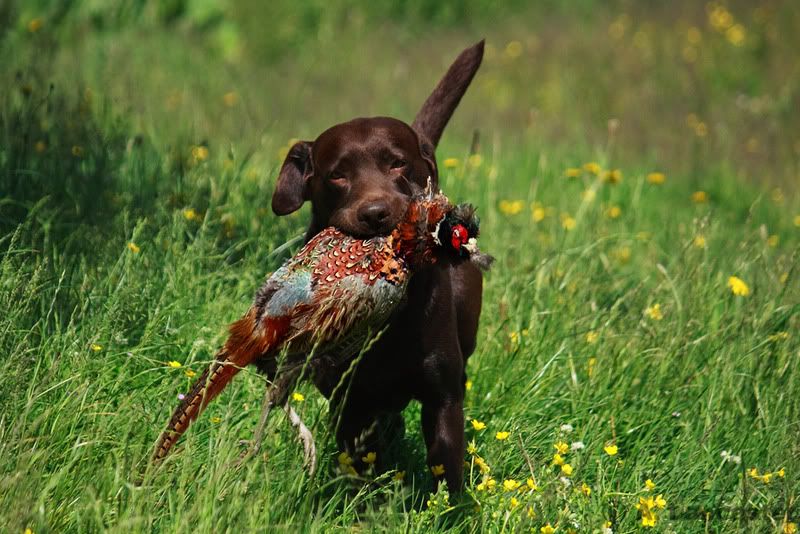 IMAGE: http://i665.photobucket.com/albums/vv12/azza_photography/Retrieve_5814.jpg