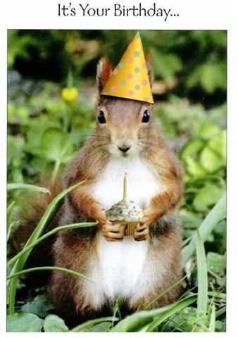 birthday-squirrel.jpg