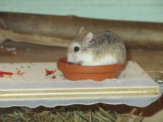 IMG_0843.jpg