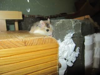 IMG_0861.jpg