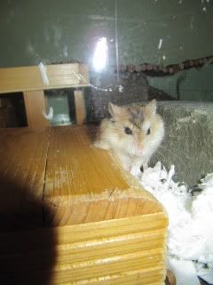 IMG_0863.jpg