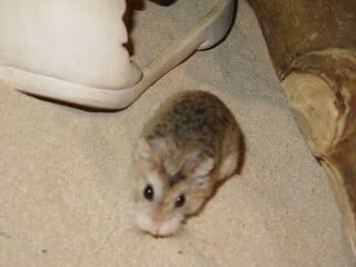 IMG_0903.jpg