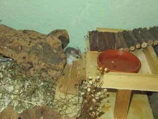 IMG_1003.jpg