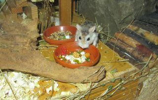 IMG_1236.jpg