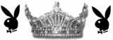 PLAYBOY CROWN... Pictures, Images and Photos