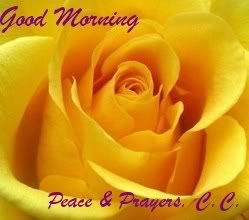 oie_yellow_rose_picture2.jpg morning picture by CCschenk09