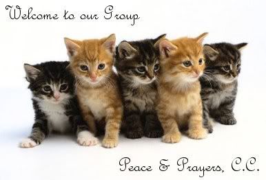 oie_kittens1-1.jpg welcome picture by CCschenk09