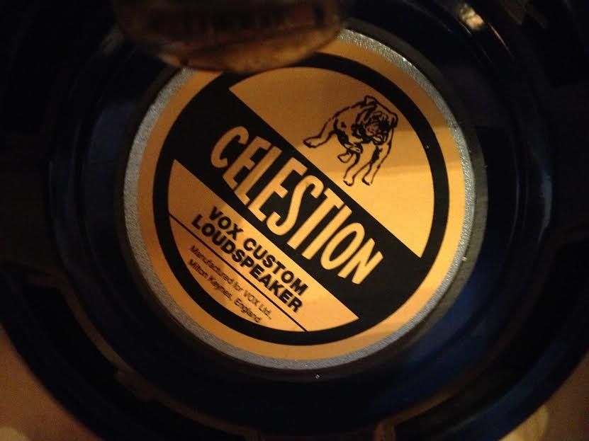 Celestion Blue Bulldog 10 Inch 8 Ohm Speaker Owners Players Looking For Info The Gear Page