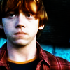 photo HP 05_zps17njaybi.png