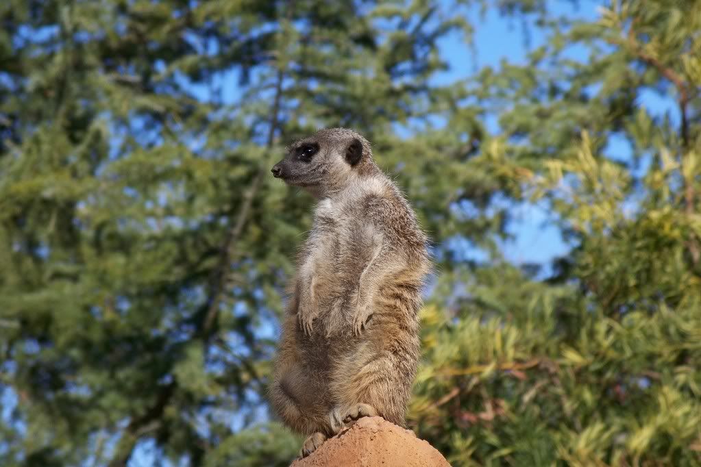on watch