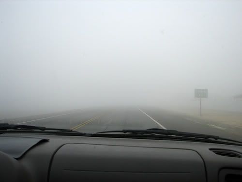 tule fog