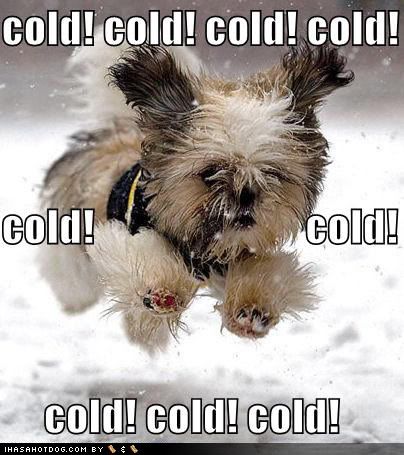 cold cold