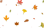 animated,autumn,leaves