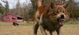 Jacob Black Pictures, Images and Photos
