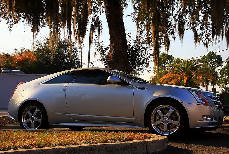 IMAGE: http://i665.photobucket.com/albums/vv20/TimW13/Events/D3.jpg