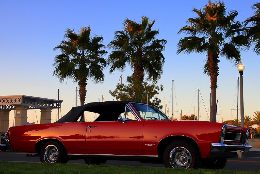 IMAGE: http://i665.photobucket.com/albums/vv20/TimW13/Events/IMG3.jpg