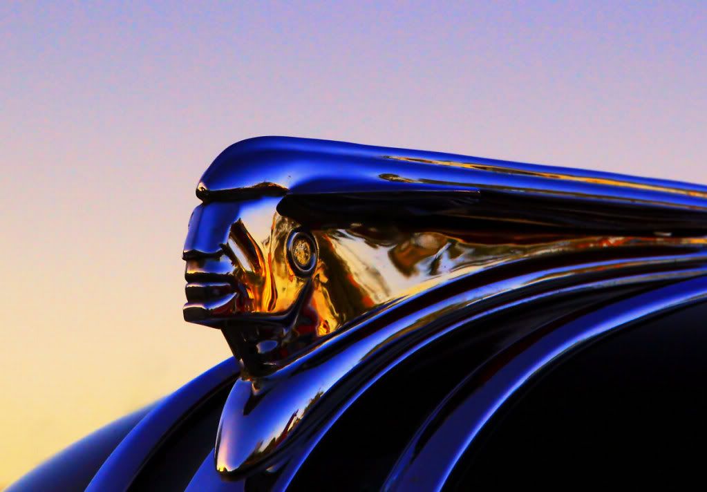 IMAGE: http://i665.photobucket.com/albums/vv20/TimW13/Events/IMG9.jpg