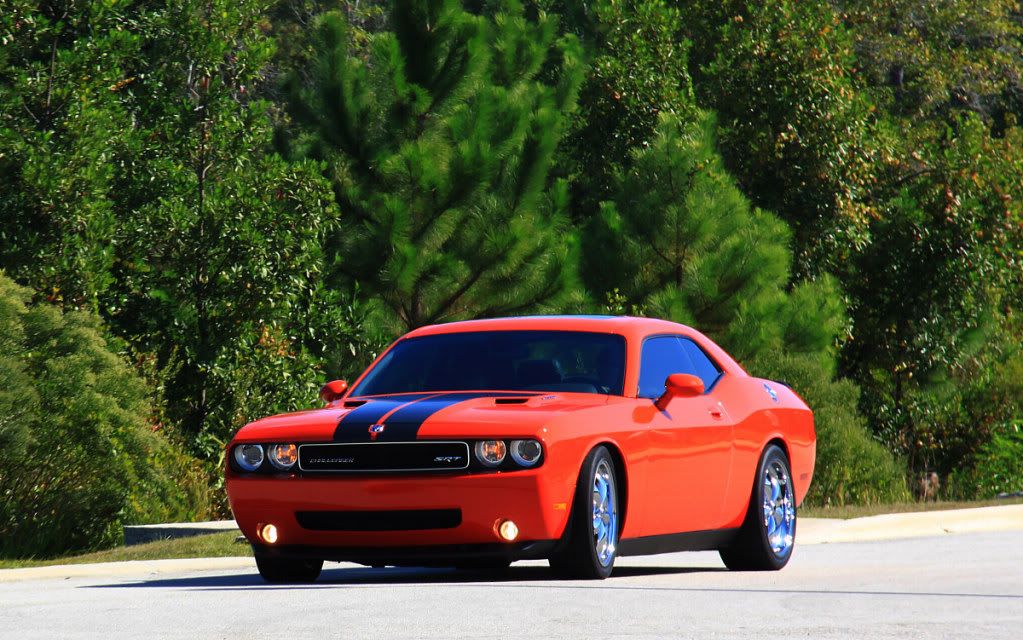 IMAGE: http://i665.photobucket.com/albums/vv20/TimW13/Events/IMG_7539.jpg