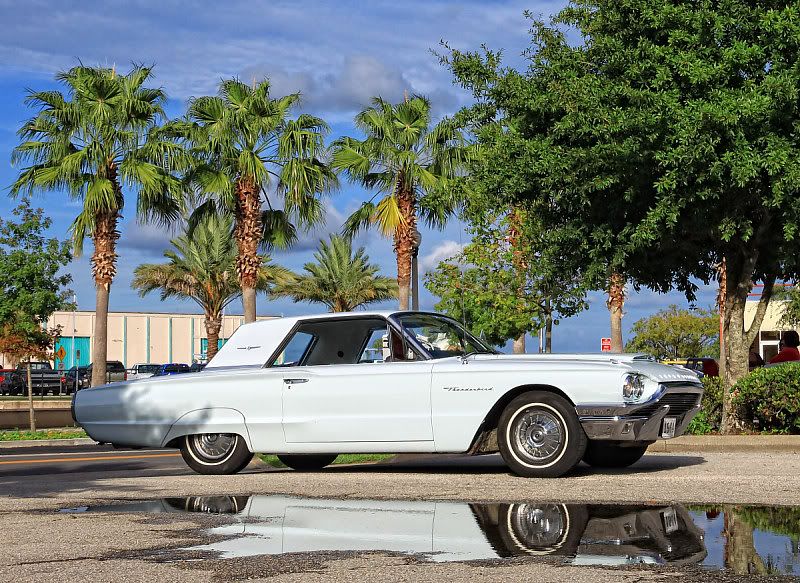 IMAGE: http://i665.photobucket.com/albums/vv20/TimW13/Forums/002.jpg