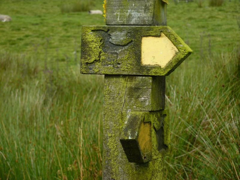 P1030986_zps194b7b10.jpg