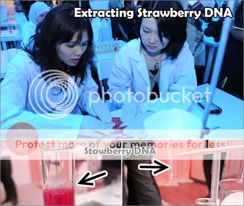 Lancome extract strawberry dna