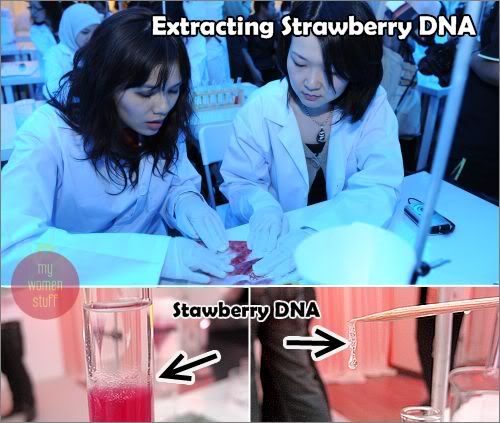 Lancome extract strawberry dna